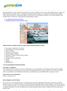 A webgrafika gyakorlati megvalósítása Grafikából szabáványos CSS és XHTML sablon