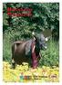 Holstein Magazin. XVII. évfolyam 4. szám 2009/4. ISO 9001. Tanúsított cég
