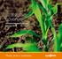 Szántóföldi növények. termesztés-technológiai ajánlat 2014