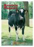 Holstein M agazin. XVII. évfolyam 3. szám 2009/3. ISO 9001. Tanúsított cég