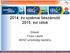 2014. év szakmai beszámoló 2015. évi célok. Előadó: Ficsor László MESZ szövetségi kapitány