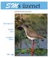 SMs üzenet. Miért éppen én? Bánatba zárva. A jógalégzés áldásai. 2004. nyár INFORMÁCIÓS MAGAZIN