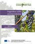 Organikus szőlő növényvédelme