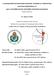 A menopauzális hormonterápia hatásának vizsgálata az endometrium szövettani átalakulására és egyes szteroidhormonok antioxidáns hatásának bemutatása