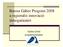 Baross Gábor Program 2008 a regionális innováció támogatásáért. Szıke Enikı projektmenedzser