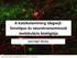 A katekolaminerg idegsejtfenotipus és neurotranszmisszió molekuláris biológiája
