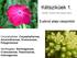 Kétszikűek 1. Eudicot alapi csoportok. Caryophyllales: Caryophyllaceae, Amaranthaceae, Droseraceae, Polygonaceae