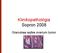Klinikopathológia Sopron 2008. Granulosa sejtes ovarium tumor