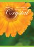 Crystal. tapasztalat füzet - XIII. 2. szám 2009.