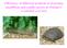 Effeciency of different methods in detecting amphibian and reptile species in Hungary: a national overview