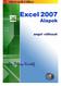 Excel 2007 angol nyelvű változat