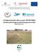 A Hajdúszoboszlói szikes gyepek (HUHN20069) kiemelt jelentőségű természetmegőrzési terület fenntartási terve