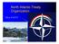 North Atlantic Treaty Organization. Mi a NATO?