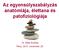 Az egyensúlyszabályzás anatómiája, élettana és patofiziológiája. Dr. Mike Andrea Pécs, 2013. november 28.