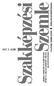 VOCATIONAL TRAINING REVIEW RUNDSCHAU DER BERUFSBILDUNG 2007. 3. SZÁM NEGYEDÉVI FOLYÓIRATA INTÉZET ÉS A MAGYAR SZAKKÉPZÉSI TÁRSASÁG