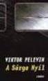 A NYELV szerepe Viktor Pelevin Empire V című regényében