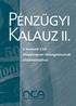 PÉNZÜGYI KALAUZ. a Nemzeti Civil Alapprogram támogatásainak elszámolásához. átdolgozott kiadás