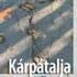 A kódváltás pragmatikai okai, megítélése a kárpátaljai magyarok körében