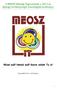 A MEOSZ Ifjúsági Tagozatának a 2013-as ifjúsági tevékenységét összefoglaló kiadványa
