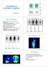 2009.03.05. Gombás osteomyelitis: 67 Ga-citrát. Tüdıtályog: 67 Ga-citrát