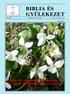 BIBLIA ÉS GYÜLEKEZET 2014. április A Biblia Szövetség folyóirata XXVI. évfolyam 1. szám