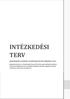 BEVEZETÉS... 2 MEGÁLLAPÍTÁSOK... 2 RÉSZLETES INTÉZKEDÉSI TERV... 3. 1. Közhasznú tevékenységet végző szervezetek nyilvántartásában