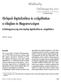 Hírlapok digitalizálása és szolgáltatása a világban és Magyarországon