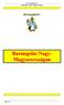 Barangolás Nagy-Magyarországon. DPG Recepttttárr 271.. Klemi 271. 1