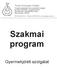 Szakmai program. Gyermekjóléti szolgálat