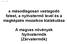 a másodlagosan vastagodó fatest, a nyitvatermő levél és a magképzés mozaikos kialakulása A magvas növények Nyitvatermők (Zárvatermők)