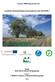 Natura 2000 fenntartási terv