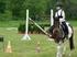 Amatőr lovas versenyek Versenyszabályzat