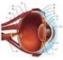 TANULÓI KÍSÉRLET (45 perc) Az emberi szem optikai leképezési hibái és korrigálásuk