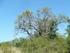 A Tard környéki erdőssztyepp (HUBN20009) kiemelt jelentőségű természetmegőrzési terület fenntartási terve