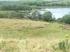 PRODUCTION OF THE CHIEF ARABLE LAND PLANTS AND PROSPECTS FOR THE DEVELOPMENT OF LIVESTOCK HEGEDŐSNÉ BARANYAI, NÓRA