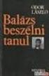 Hallássérült fiatalok idegennyelv-tanulása Magyarországon