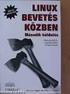 Linux bevetés közben Második küldetés