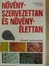 Növényi életciklus. A magnyugalom. A magnyugalom. (Öko)Fiziológiai nézőpont. Ökológiai nézőpont. A növényi életciklus vázlata