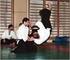 Az Aikido az egész világé. Sohase gyakoroljátok öncélúan, mindig csak a másik emberért. (Ueshiba Morihei) Bemutatkozás