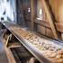 Wollastonite: Nordkalk W-series, Nordkalk W, Nordkalk Wicroll, Nordkalk NorWoll