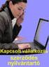Szerződésmódosítása Könyvvizsgálat