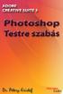 Dr. Pétery Kristóf: Adobe Photoshop CS3 Testre szabás