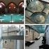 VELI BEJ egy 600 éves török fürdő üzemeltetési sajátosságai.