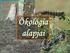 Az ökológia alapjai. Az ökológia tárgya, vizsgálati szintjei, skálázási problémák