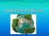A természetvédelem szerepe és stratégiája a környezeti nevelésben The role and strategy of environmental protection in environmental education