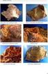 Új ásványtani adatok a Mád környéki savanyú vulkanitokból (Tokaji-hegység)