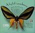 Bálint Zsolt. A nappali lepkék magyar nevei The Hungarian Names of Butterflies. e-acta Naturalia Pannonica 11 (2016) Redigit Fazekas Imre