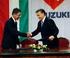 Întreprinderi maghiare care caută parteneri români