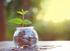 Investment Fund Assets by Investors