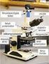 A biológiai anyag vizsgálatának mikroszkópi módszerei